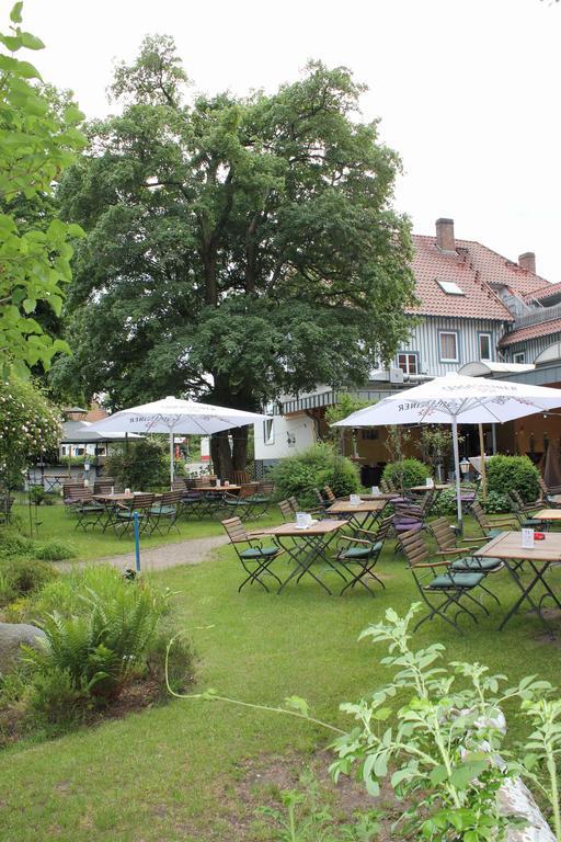Hotel Zur Heidebluete Hambühren Extérieur photo